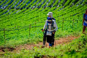 BIB: 
                            <button type="button" onclick="openModal(19163631)" class="btn btn-primary btn-sm float-right btn-popup" data-toggle="modal" data-target=".modal-high-quality">
                        <i class="fas fa-shopping-cart"></i> Add to Cart
                    </button>
                                            <button type="button" onclick="isThisMe(19163631, true)" class="btn btn-success btn-sm float-right btn-popup btn-isme hidden" data-toggle="tooltip" data-placement="bottom" title="นี่คือรูปของคุณใช่ไหม คลิกที่นี่เพื่อเอาเข้าอัลบั้ม">
                        <i class="fas fa-plus"></i> Add to album
                    </button>
                    <button type="button" onclick="isThisMe(19163631, false)" class="btn btn-warning btn-sm float-right btn-popup btn-isnotme hidden">
                        <i class="fas fa-ban"></i> Remove from album
                    </button>